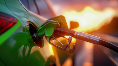 Gobierno congela los precios de los combustibles de mayor consumo